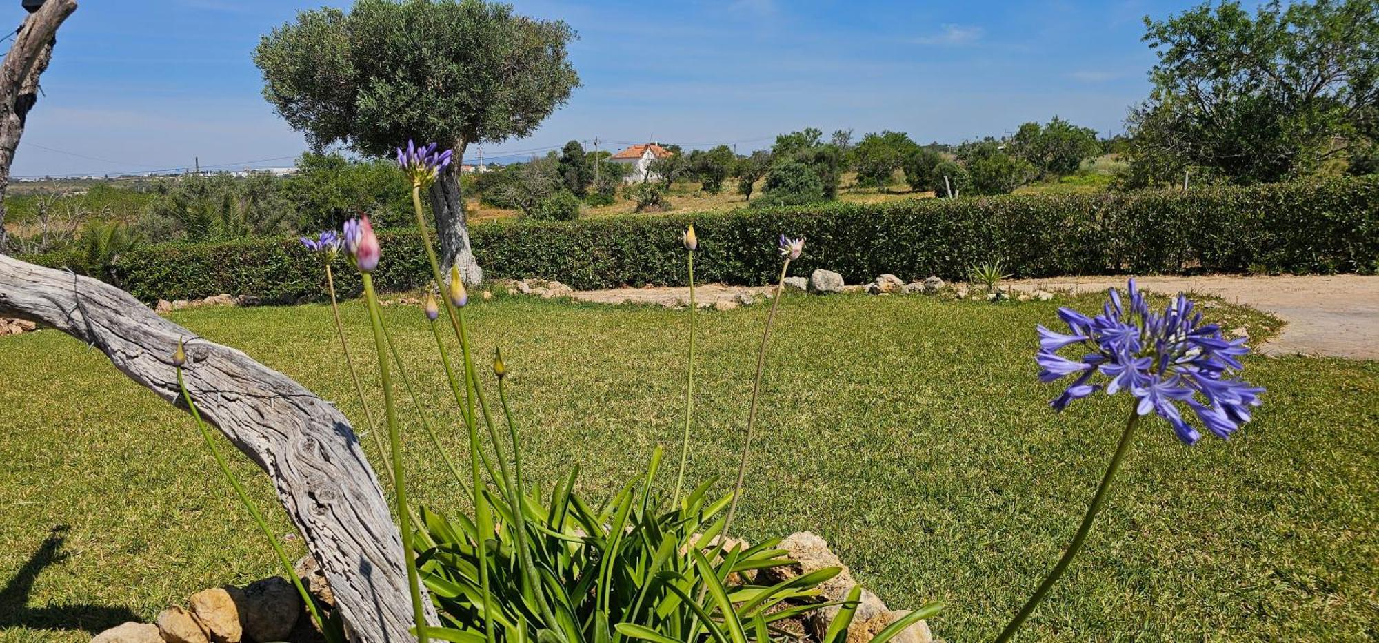 Villa Quinta Do Lagar Albufeira Exterior foto
